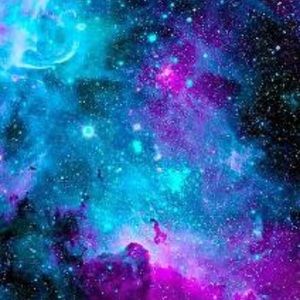 Meet your Posher, Shyla